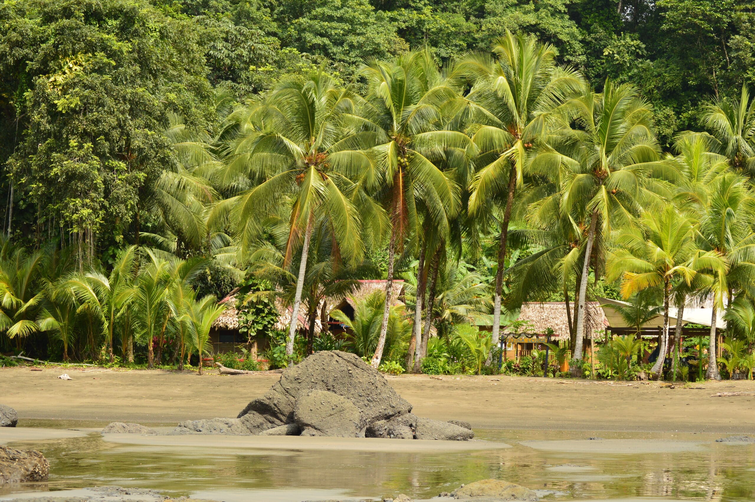 Colombian pacific - Phoenix Travel Groupl